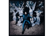 Schallplatte Jack White - Lazaretto (Third Man Records) im Test, Bild 1