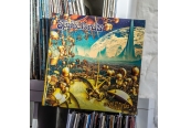 Schallplatte The Spacelords – Space Flowers (Tonzonen Records) im Test, Bild 1