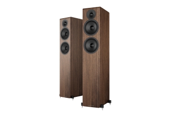Einzeltest: Acoustic Energy 309²